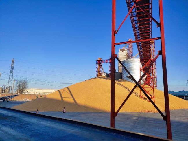 賣糧地磅怎么選，秋收地磅怎么查，看看這篇文章吧！